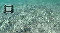 Fiji0508