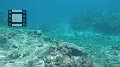 Fiji0509