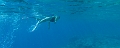 Fiji0510