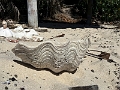 Fiji0526