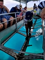 Fiji0528