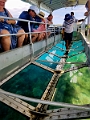 Fiji0529