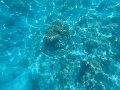 Fiji0556