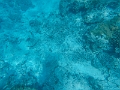 Fiji0559