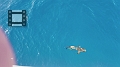Fiji0592