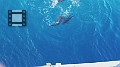 Fiji0598