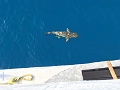Fiji0600