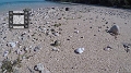 Fiji0618
