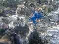 Fiji0619