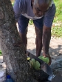 Fiji0663