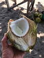 Fiji0666