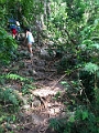 Fiji0671