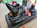 Fiji0734