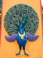 Fiji0746