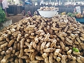 Fiji0754