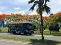 Fiji0781