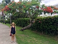 Fiji0782