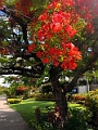 Fiji0803