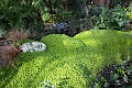Edmonton036