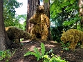 Vancouver092