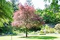 Vancouver118