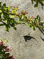 Vancouver164