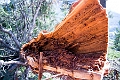 TunnelMountain023
