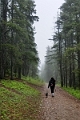 BarrierLake006