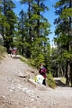 SulphurMountain005