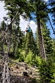 SulphurMountain036