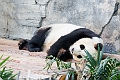 Zoo001