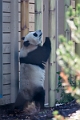 Zoo007