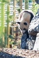 Zoo008