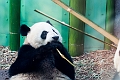 Zoo013