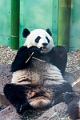 Zoo014