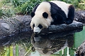 Zoo015