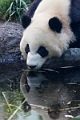 Zoo016