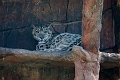 Zoo020
