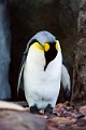 Zoo044