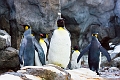 Zoo047