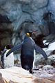 Zoo048