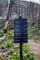 Waterton010