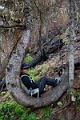 Waterton016