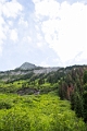 Waterton024