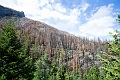 Waterton026