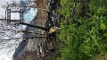 Waterton055