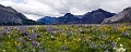 Waterton095