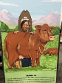 Stampede027