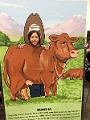 Stampede028