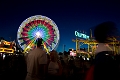 Stampede066